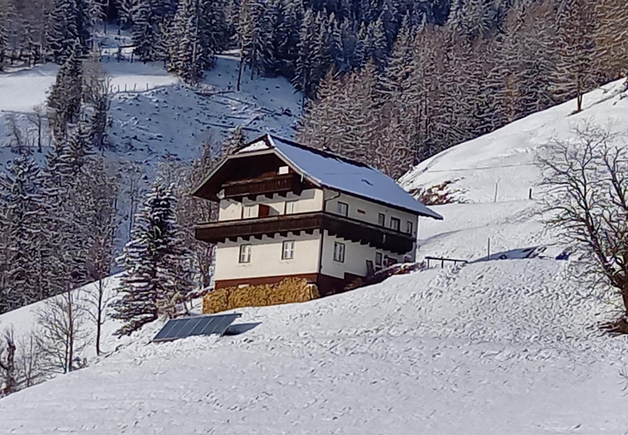 Tischnerhof Appartements Bad Kleinkirchheim Extérieur photo